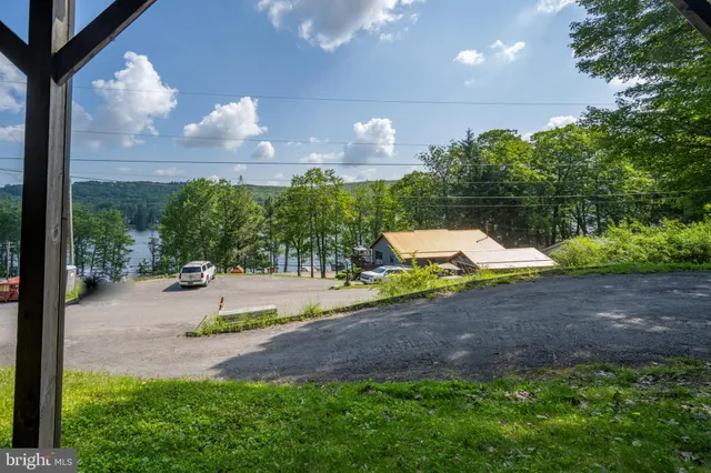 a view of a backyard with potted plants and a large tree