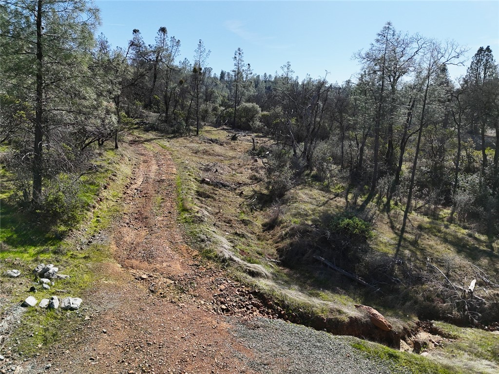 0 Condor Road Oroville, CA 95965 - Photo 12 of 41 a view of a forest with trees in the background