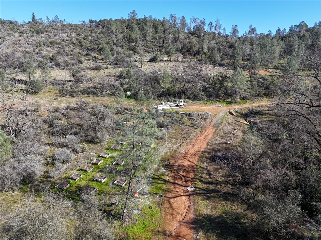 0 Condor Road Oroville, CA 95965 - Photo 13 of 41 a view of a dry yard with trees all around
