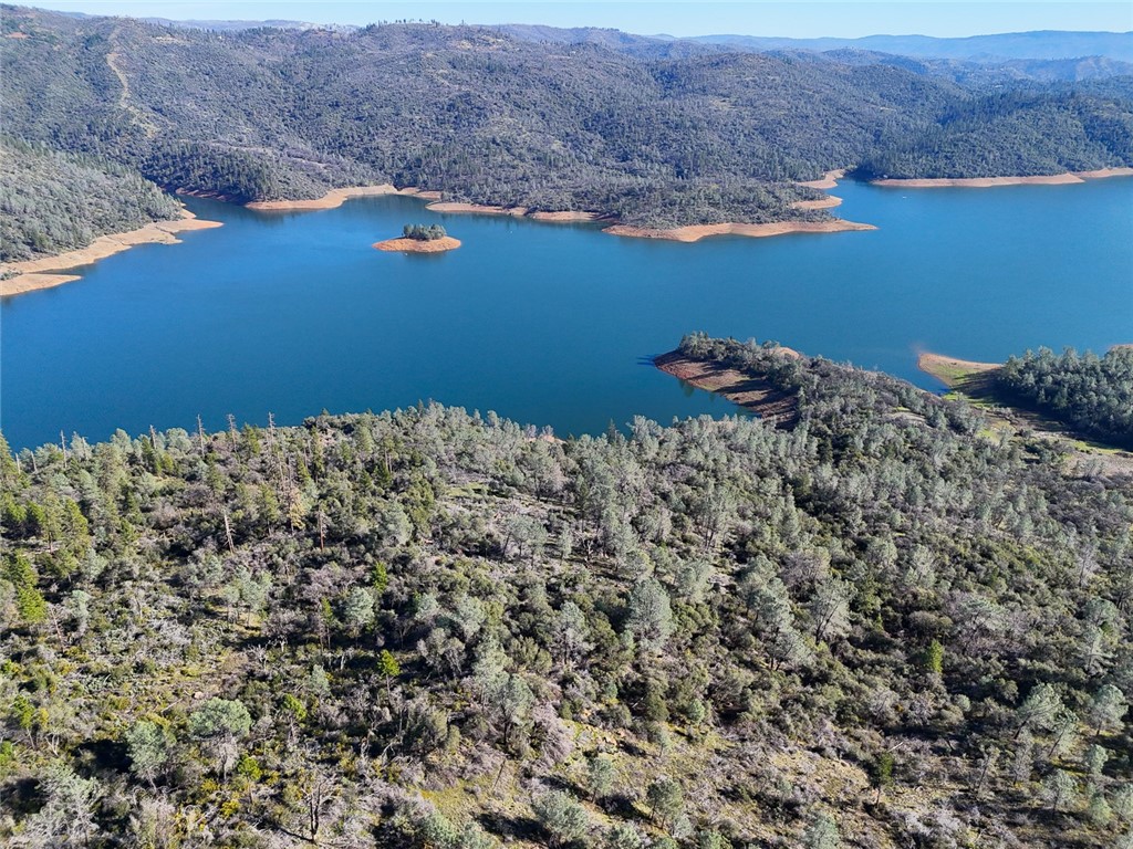 0 Condor Road Oroville, CA 95965 - Photo 19 of 41 a view of a lake with tall trees