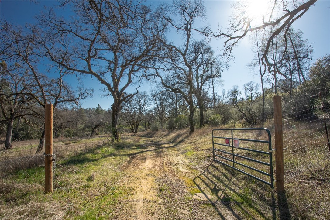 0 Condor Road Oroville, CA 95965 - Photo 2 of 41 a view of a yard with wooden fence
