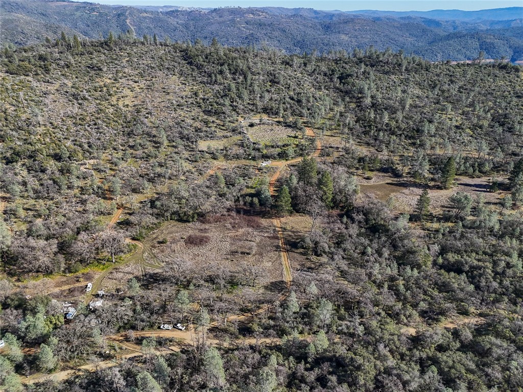 0 Condor Road Oroville, CA 95965 - Photo 22 of 41 a view of a big yard with lots of trees