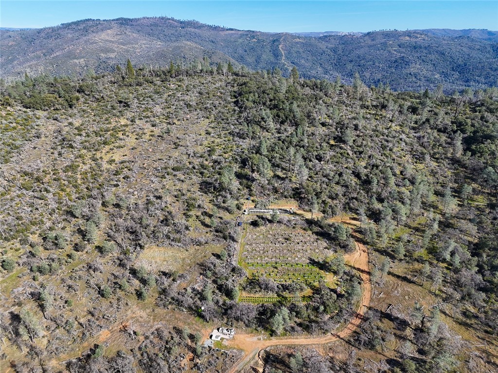 0 Condor Road Oroville, CA 95965 - Photo 27 of 41 a view of a bunch of trees and a forest