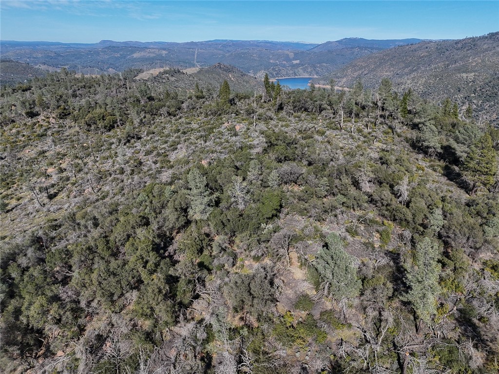 0 Condor Road Oroville, CA 95965 - Photo 28 of 41 a view of a lush green hillside and a mountain
