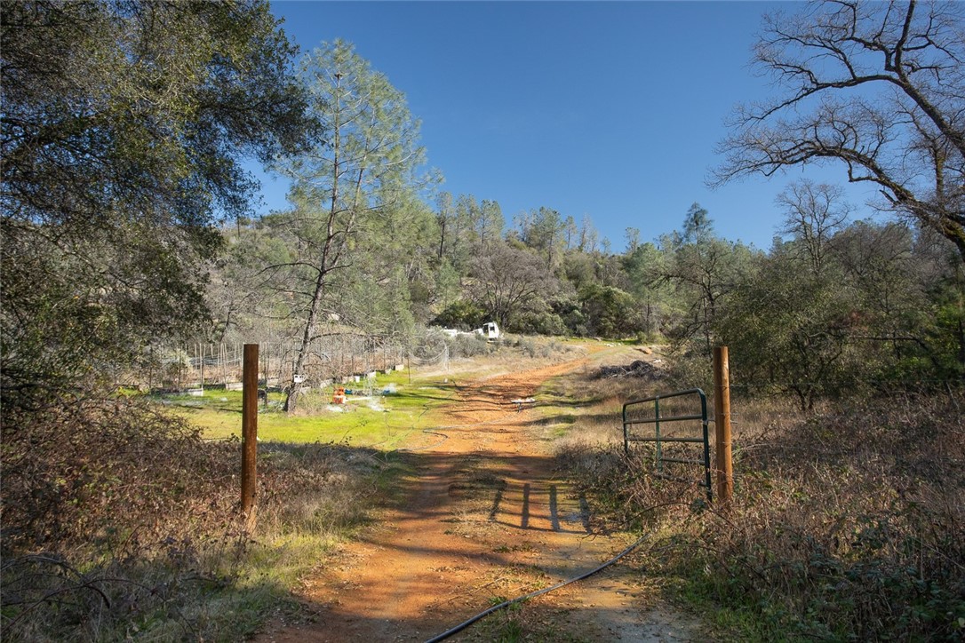 0 Condor Road Oroville, CA 95965 - Photo 3 of 41 a view of a yard with an trees