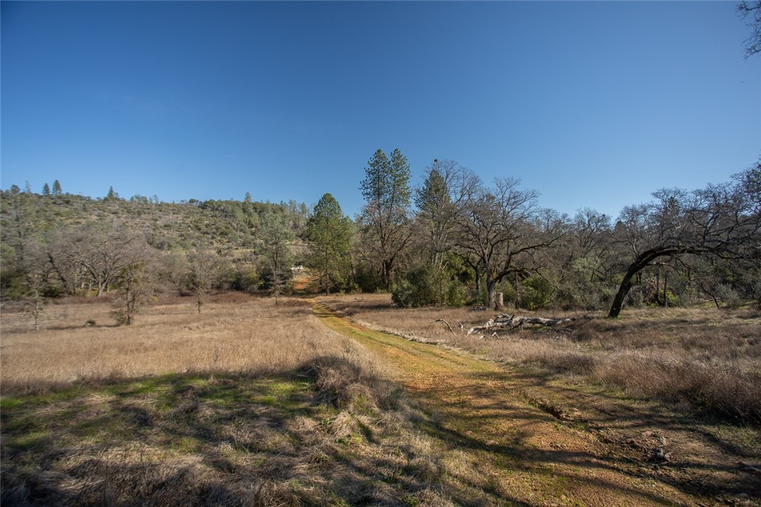 0 Condor Road Oroville, CA 95965 - Photo 31 of 41 a view of dirt field with trees in background