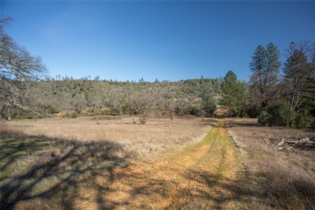 0 Condor Road Oroville, CA 95965 - Photo 32 of 41 a view of a yard with trees in the background