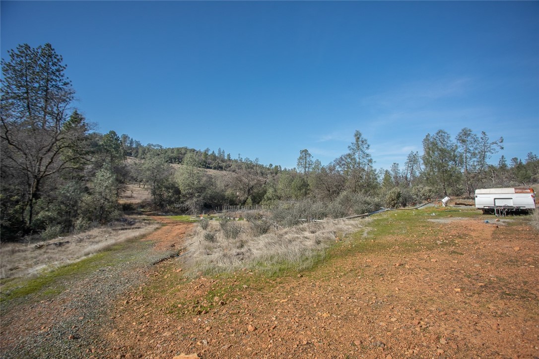 0 Condor Road Oroville, CA 95965 - Photo 34 of 41 a view of dirt yard with a large tree