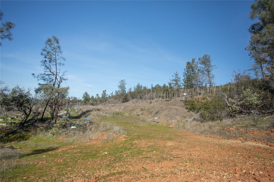 0 Condor Road Oroville, CA 95965 - Photo 37 of 41 a view of a dry yard with trees in the background
