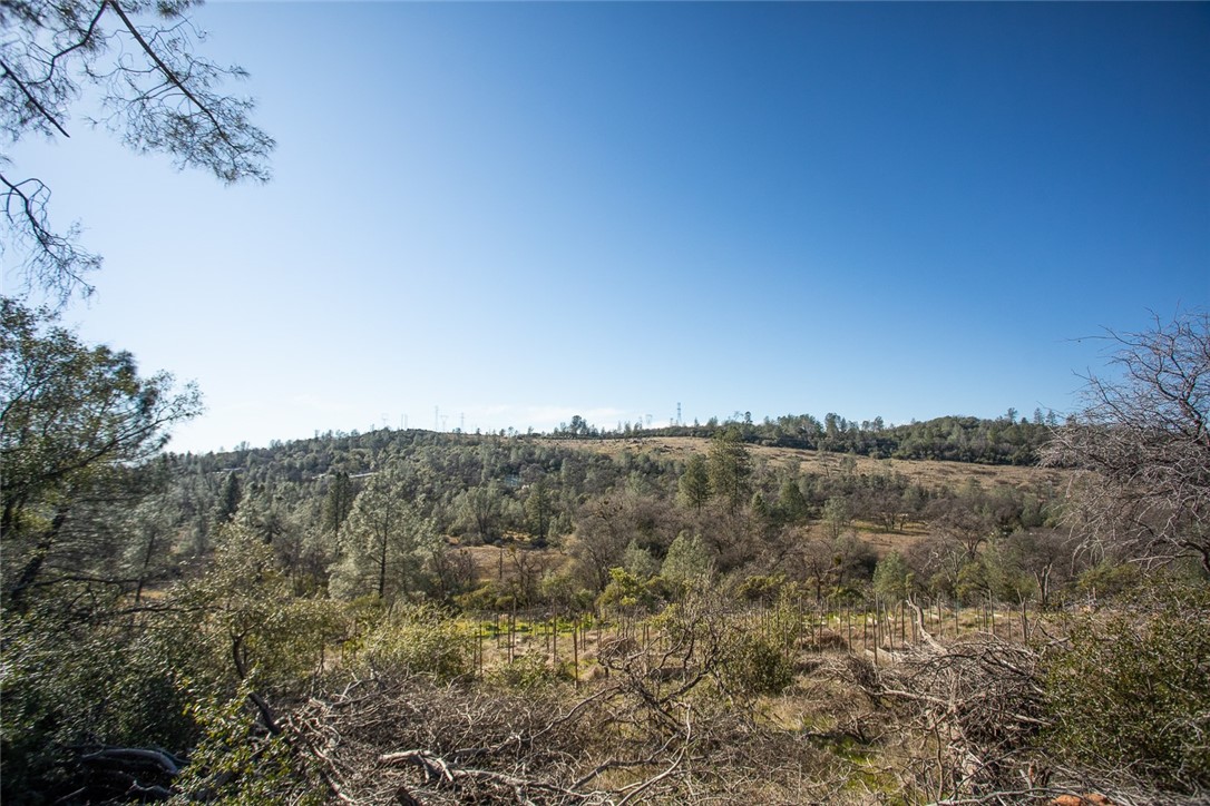 0 Condor Road Oroville, CA 95965 - Photo 39 of 41 a view of a forest with mountains in the background