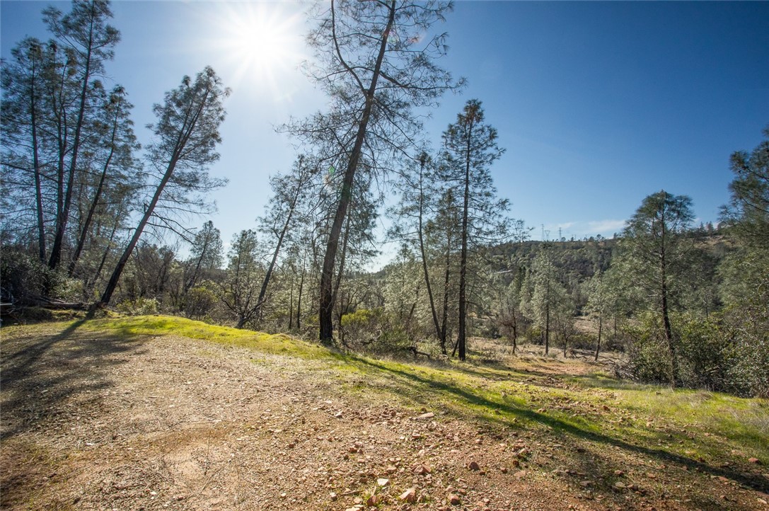 0 Condor Road Oroville, CA 95965 - Photo 40 of 41 a view of a yard with trees