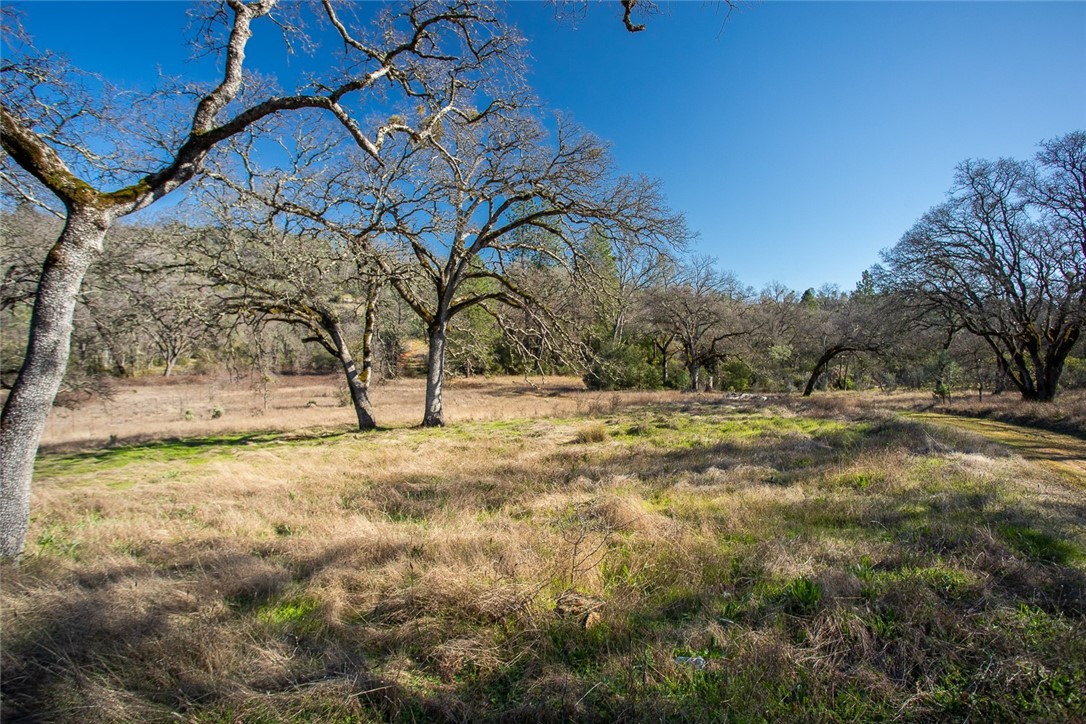 0 Condor Road Oroville, CA 95965 - Photo 41 of 41 a view of yard with large trees