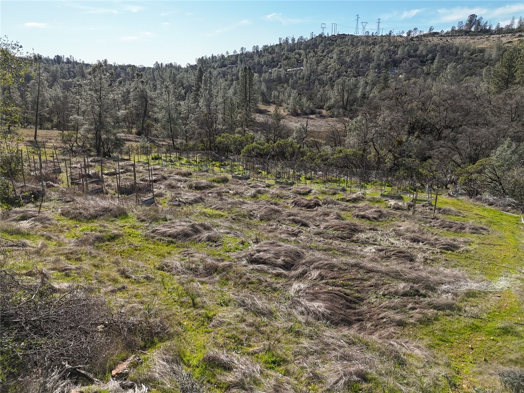 0 Condor Road Oroville, CA 95965 - Photo 7 of 41 a view of outdoor space and green field