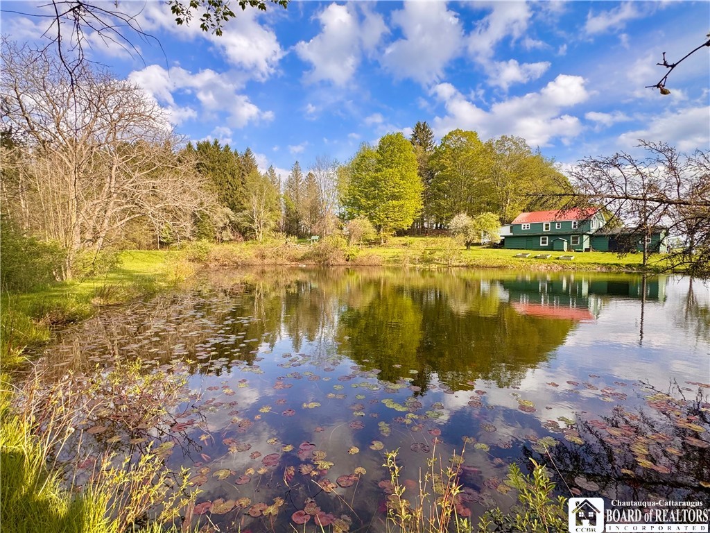 5166 Pickard Road Dewittville, NY 14728 - Photo 43 of 46 Pond 1/backyard