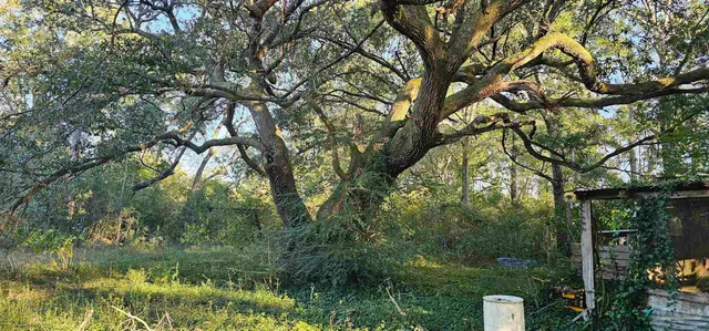 a backyard of a house with lots of green space