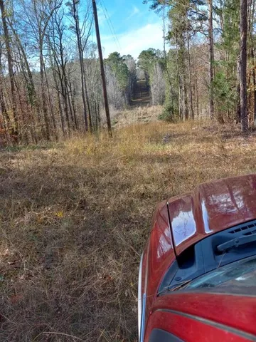 a view of a yard with an outdoor space