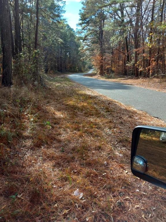 242 Slaughter Road Homer, LA 71040 - Photo 5 of 12 a view of a yard with an outdoor space