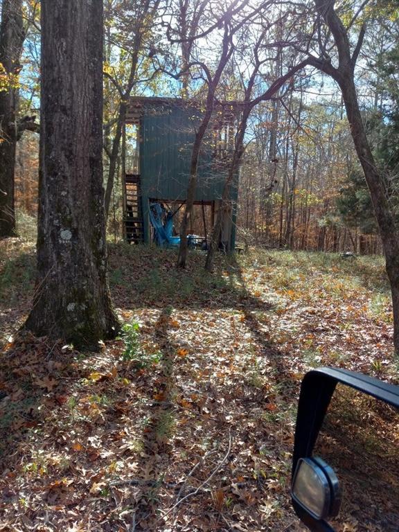 242 Slaughter Road Homer, LA 71040 - Photo 7 of 12 a view of a yard with a tree