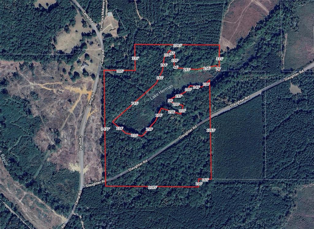 242 Slaughter Road Homer, LA 71040 - Photo 8 of 12