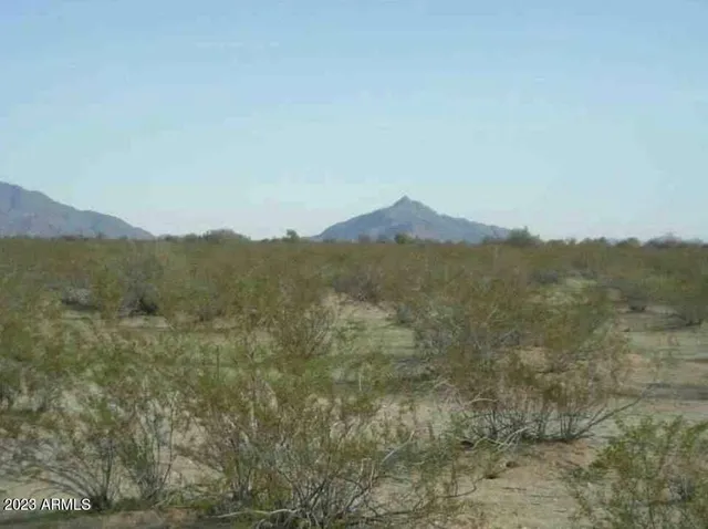 a view of a forest with mountains in the background