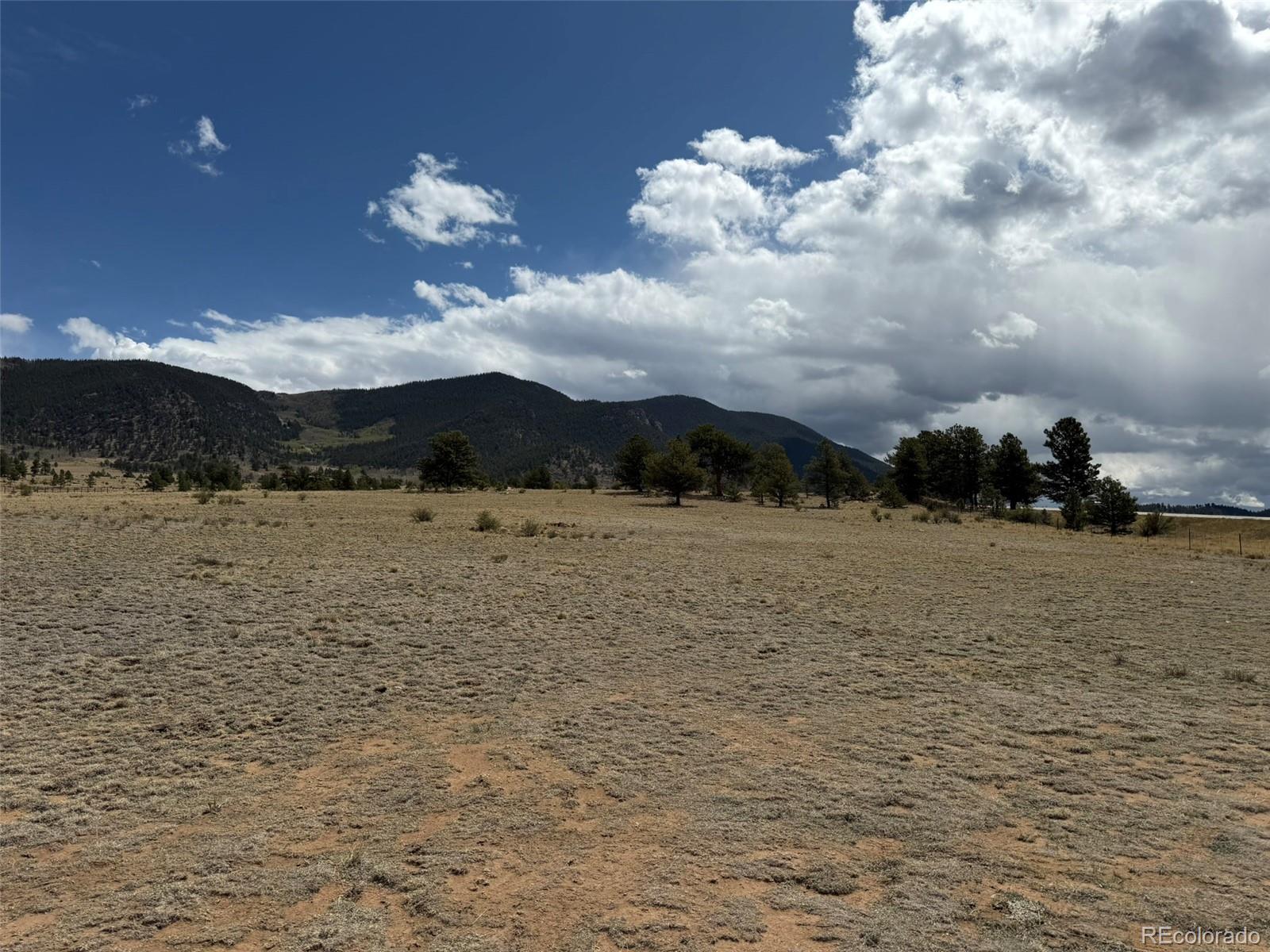 42 Turner Gulch Road Lake George, CO 80827 - Photo 2 of 23 a view of a lake