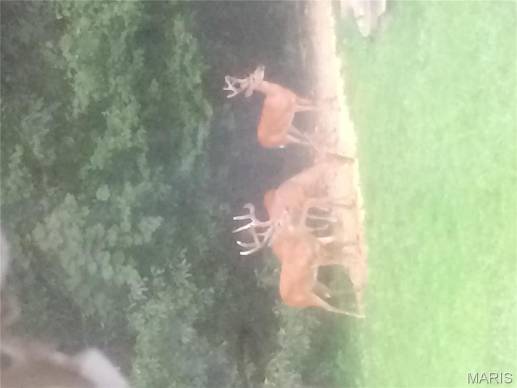 4101 Juedeman Road Cuba, MO 65453 - Photo 47 of 57