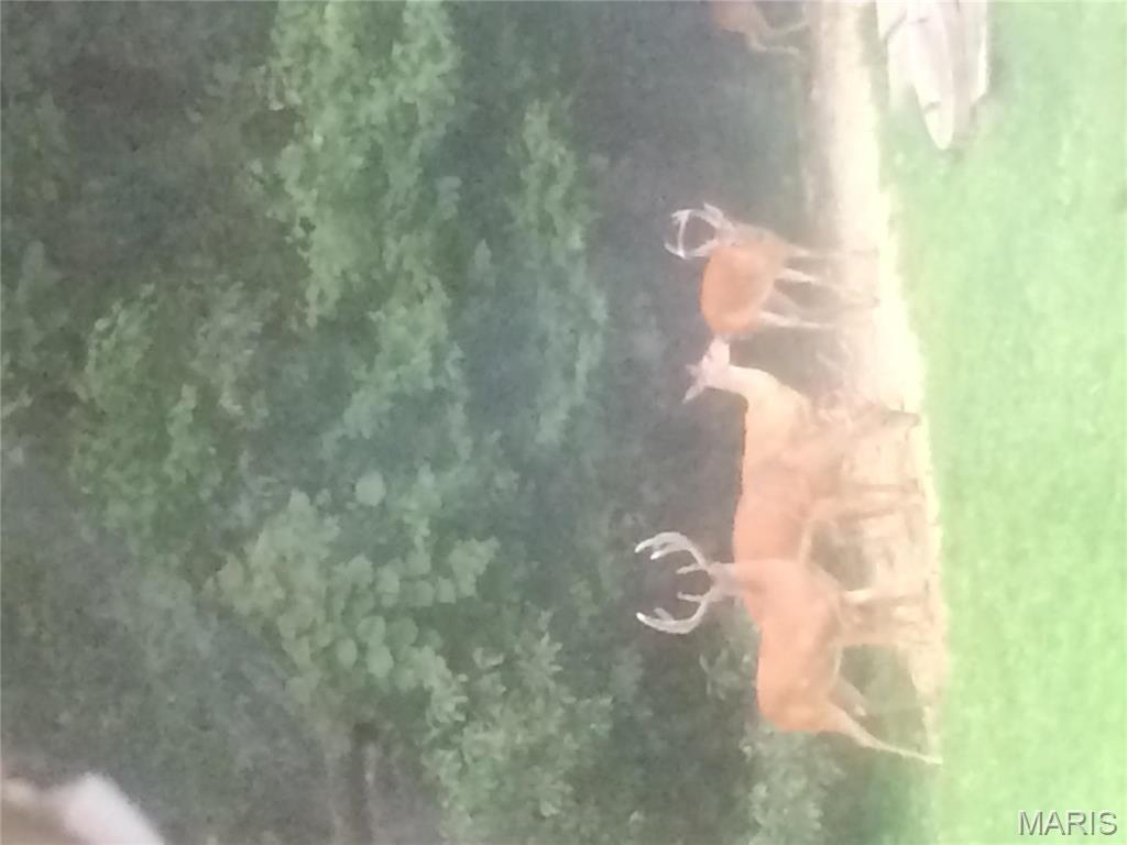 4101 Juedeman Road Cuba, MO 65453 - Photo 49 of 57