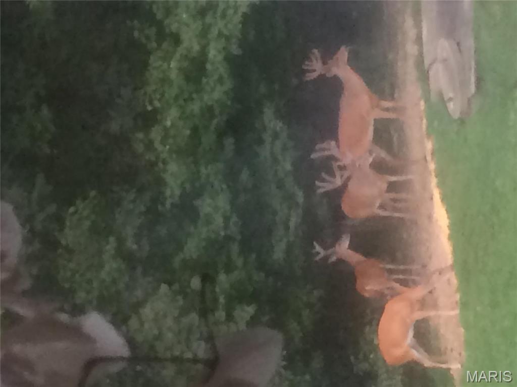 4101 Juedeman Road Cuba, MO 65453 - Photo 51 of 57