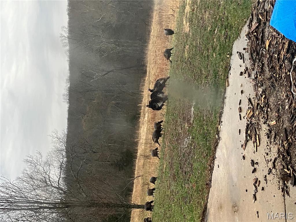 4101 Juedeman Road Cuba, MO 65453 - Photo 52 of 57