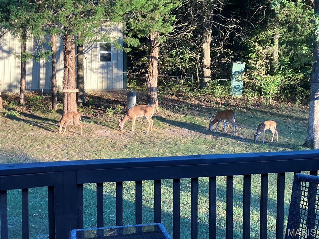 4101 Juedeman Road Cuba, MO 65453 - Photo 53 of 57