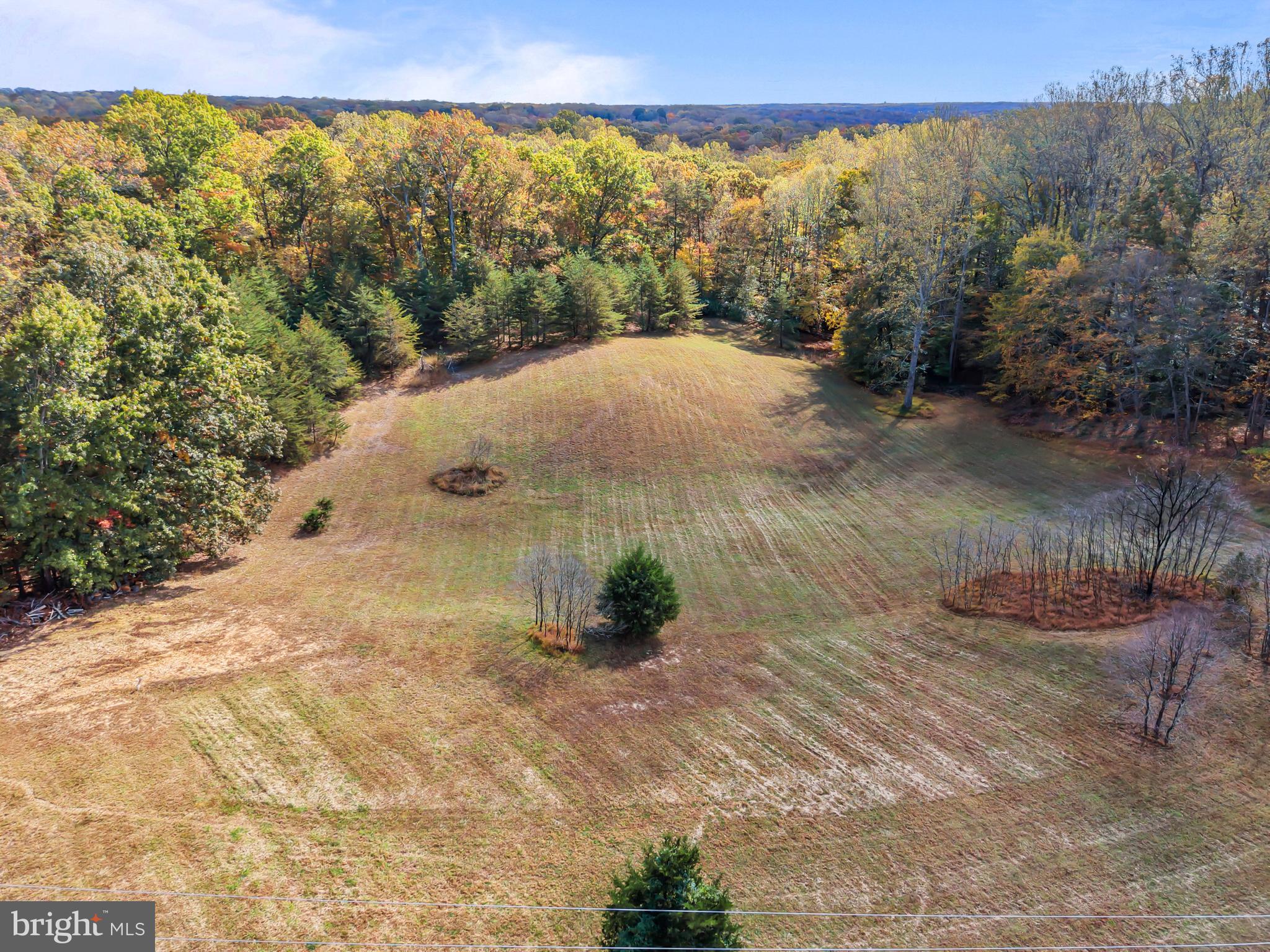 7800 Gold Flint Court Clifton, VA 20124 - Photo 2 of 7 a view of a outdoor space