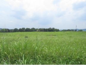 Lot 4 Harrison Road, Unit 7 White Pine, TN 37890 - Photo 1 of 4 Photo 1