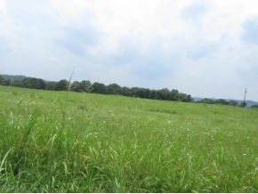 Lot 4 Harrison Road, Unit 7 White Pine, TN 37890 - Photo 2 of 4 Photo 2