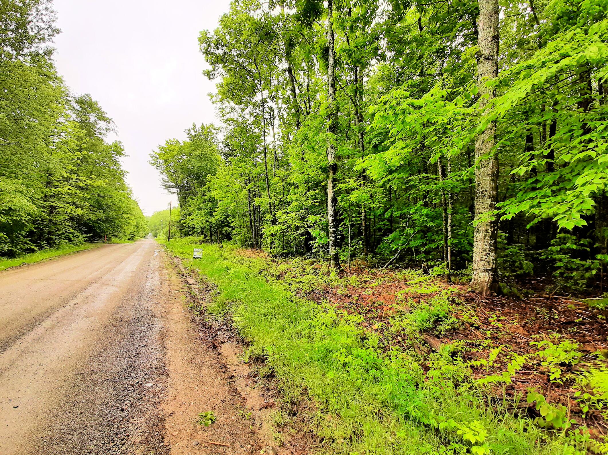 Lot # Lot#17-9 North Road Winn, ME 04495 - Photo 4 of 31 1 TBD North Road 1c