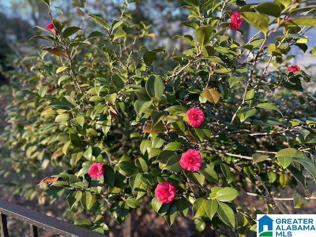 109 Hillside Road Bessemer, AL 35020 - Photo 21 of 21