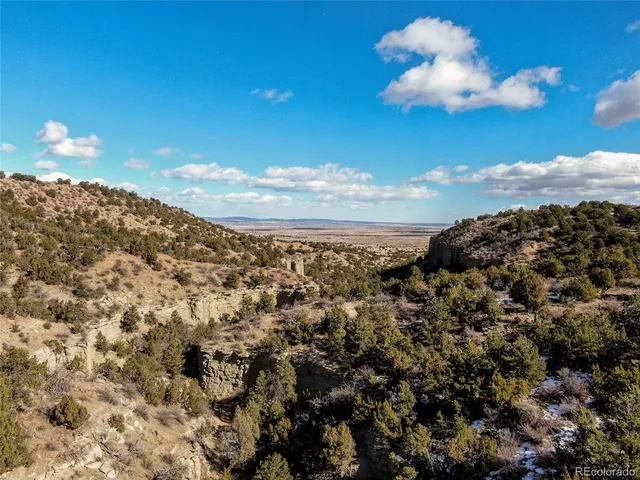 a view of a covered with large trees