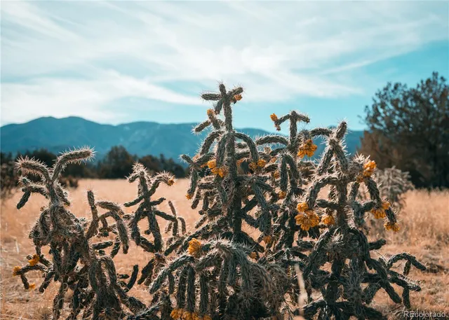 $3,400,000 | 0 County Road 103, Florence, CO 81226