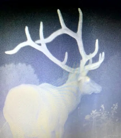 a view of a chairs and table in the yard