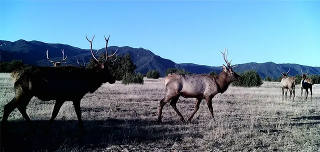 a view of a backyard of the house