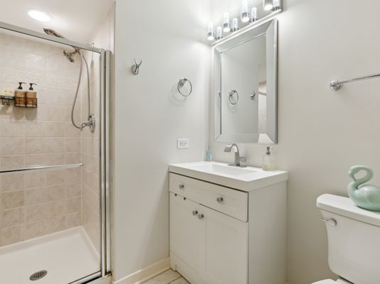 1229 West Madison Street, Unit Q Chicago, IL 60607 - Photo 31 of 45