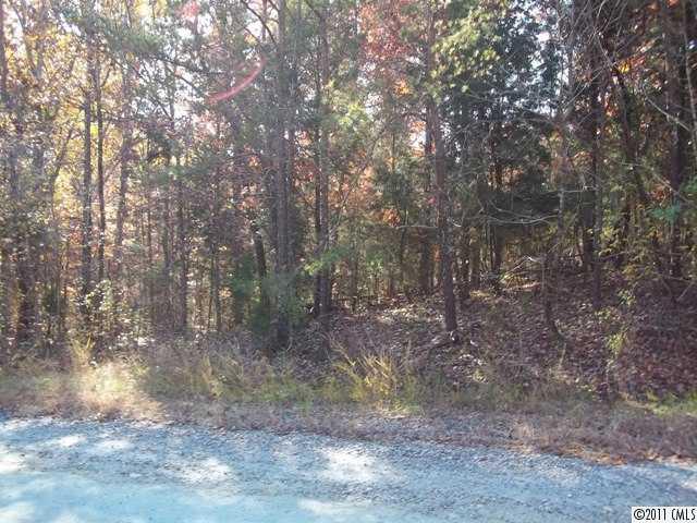 Lot 10 Fox Trail Road, Unit LOT 10 York, SC 29745 - Photo 4 of 6 Gallery Image 4