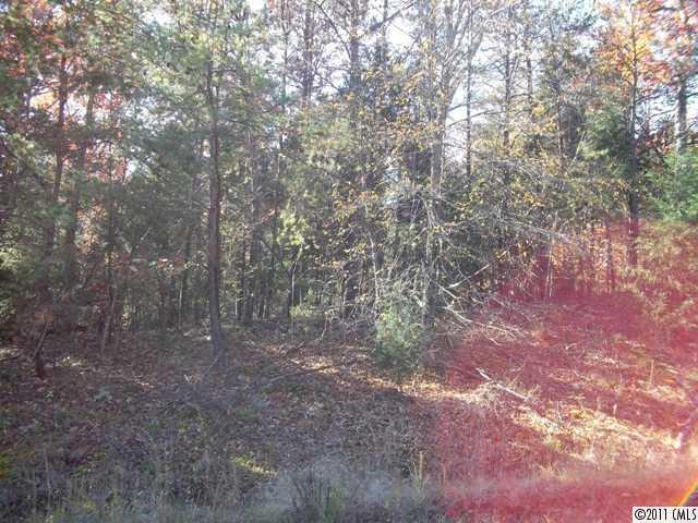 Lot 10 Fox Trail Road, Unit LOT 10 York, SC 29745 - Photo 5 of 6 Gallery Image 5