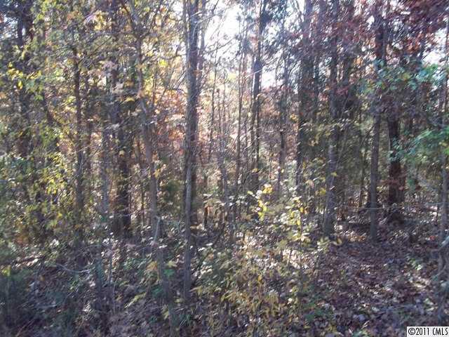 Lot 10 Fox Trail Road, Unit LOT 10 York, SC 29745 - Photo 6 of 6 Gallery Image 6
