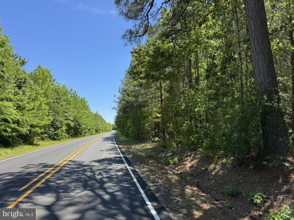 1 Salisbury Road Spring Grove, VA 23881 - Photo 11 of 18