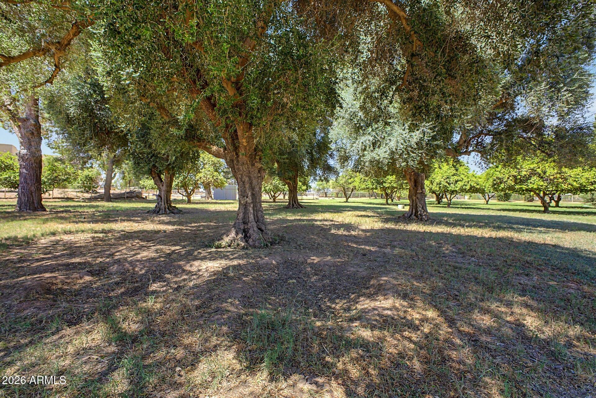 43455 North Jackrabbit Road San Tan Valley, AZ 85140 - Photo 18 of 35