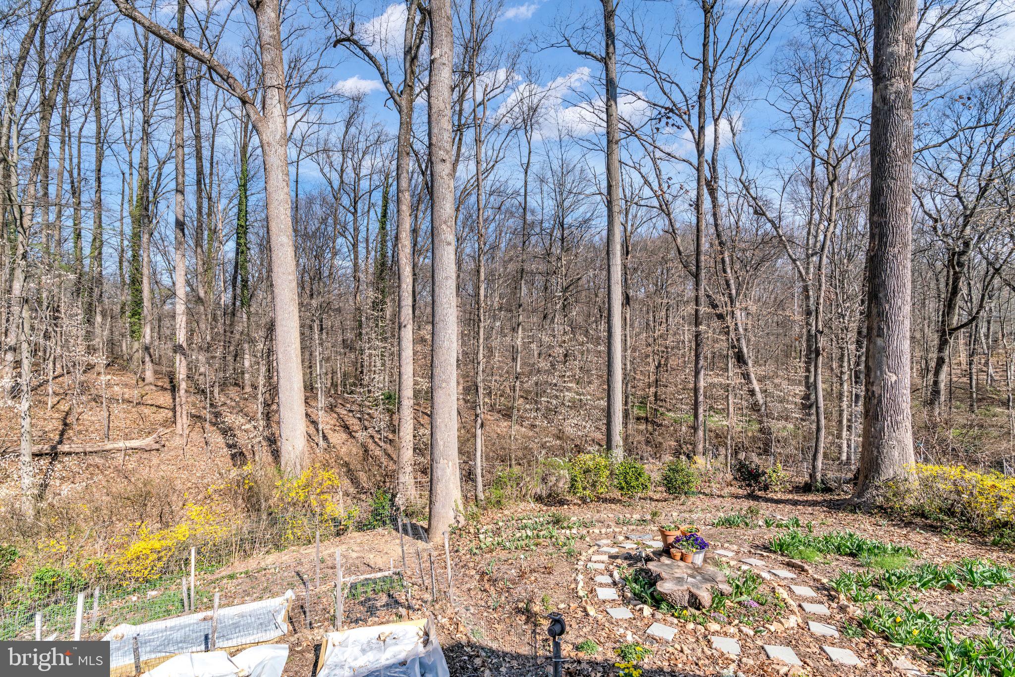 5530 Belfast Place Springfield, VA 22151 - Photo 26 of 57