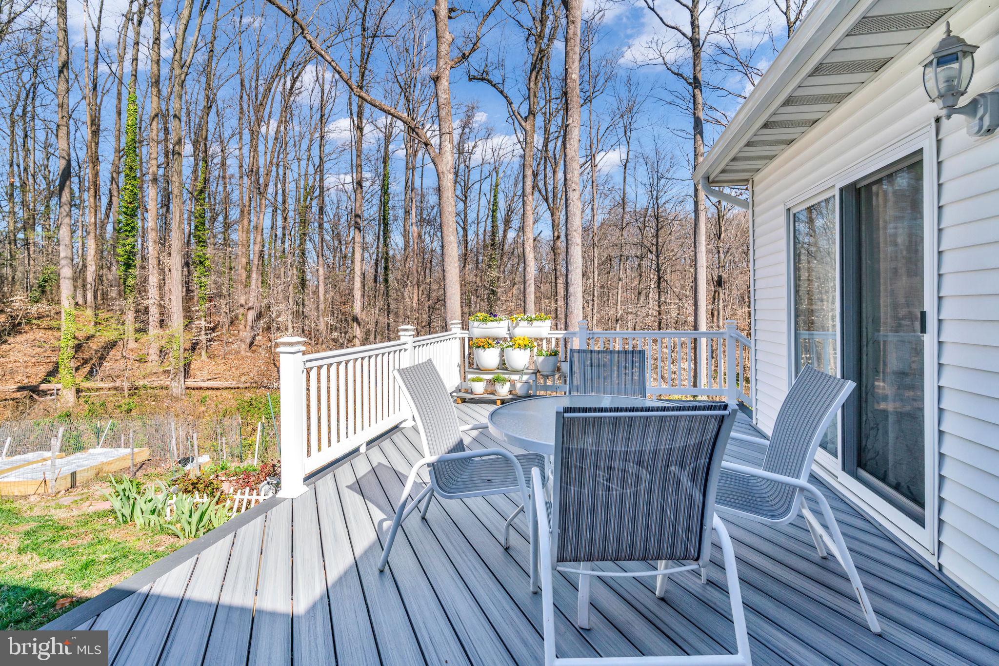 5530 Belfast Place Springfield, VA 22151 - Photo 3 of 57
