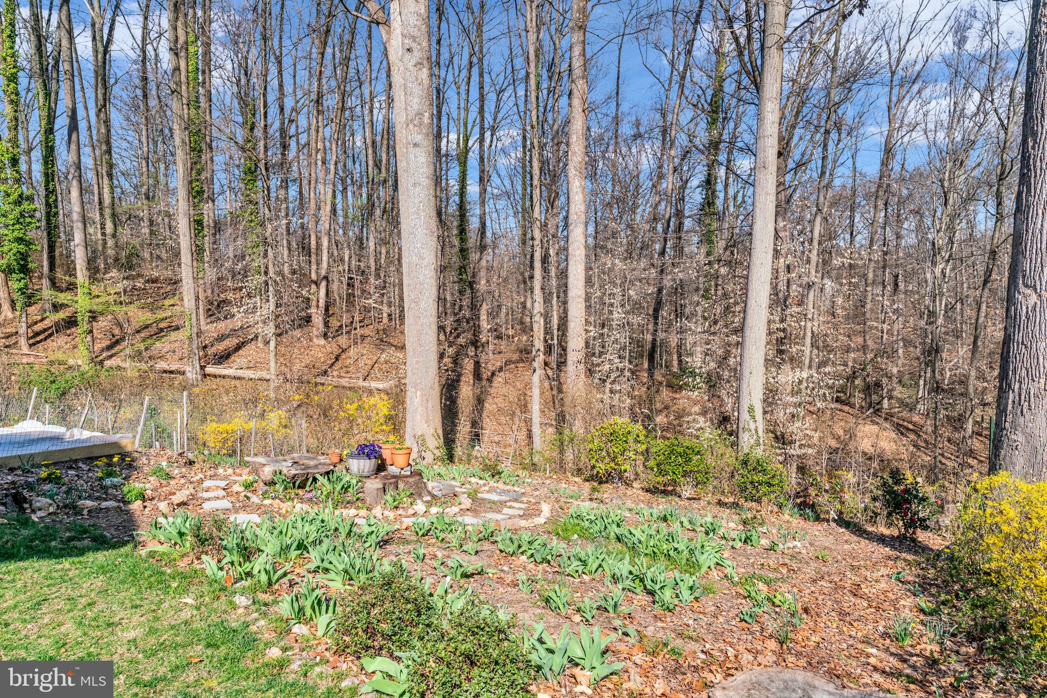 5530 Belfast Place Springfield, VA 22151 - Photo 32 of 57