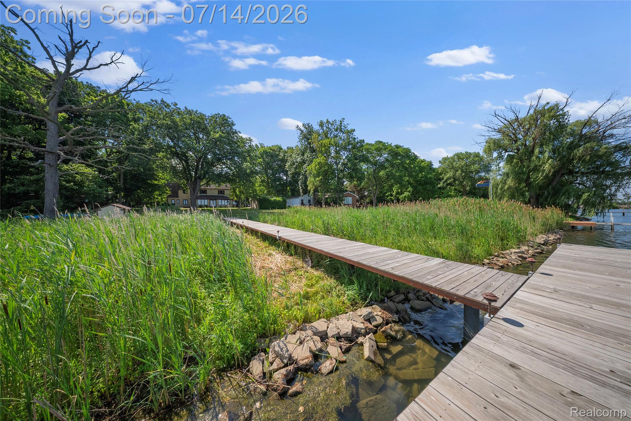 18460 Meridian Road Grosse Ile, MI 48138 - Photo 45 of 50 Expansive waterfront featuring a wooden dock, natural shoreline with tall grasses, and mature trees