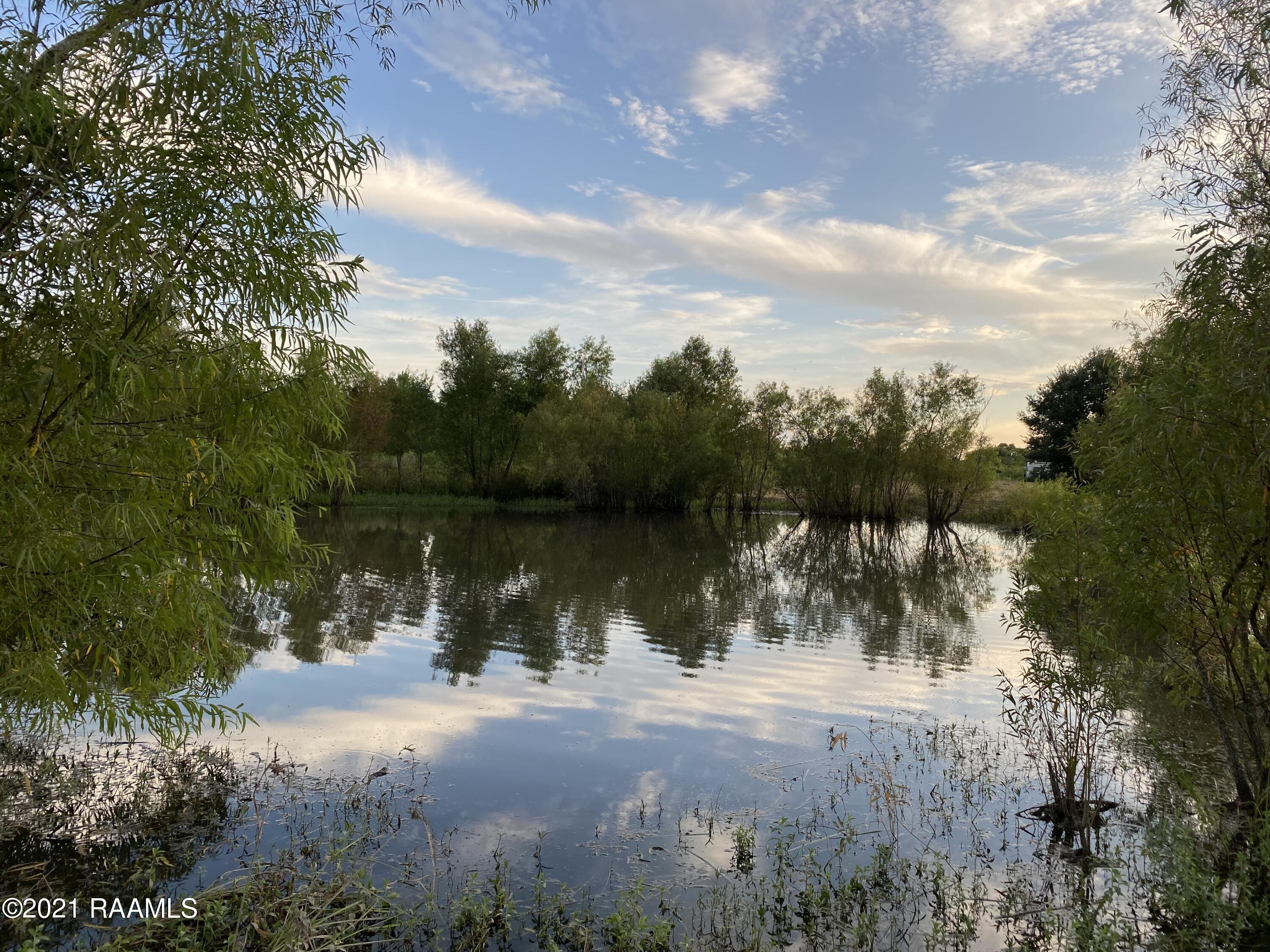 pond